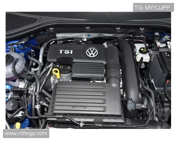 五年对比:MVP数据全面进化!